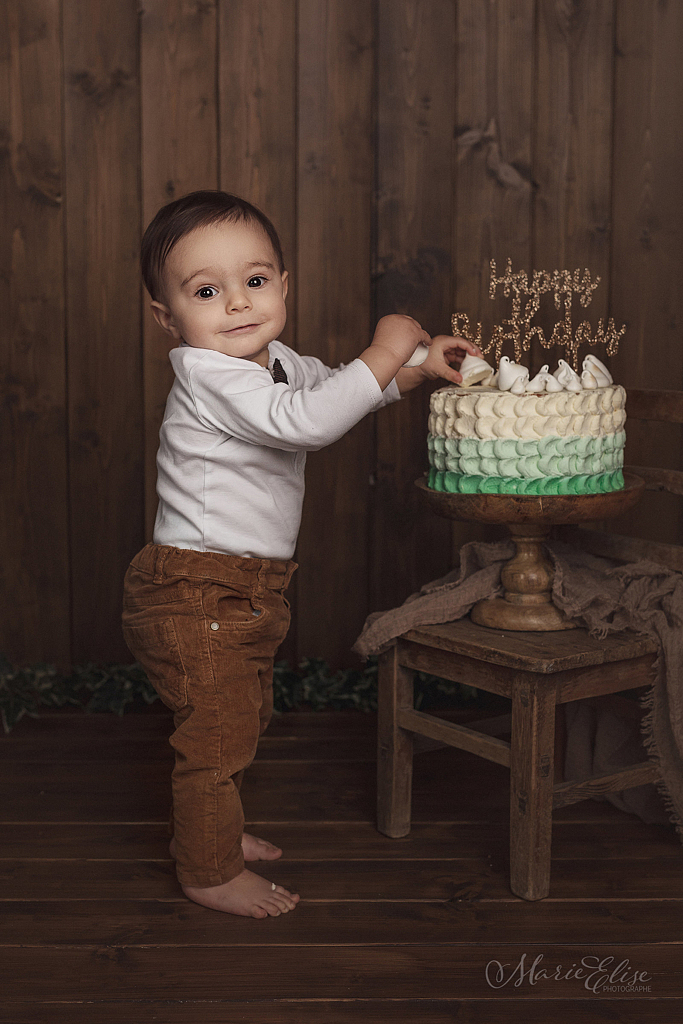 Gateau anniversaire bébé 1 an séance photo